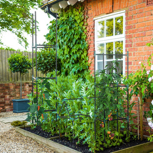 Lot de 3 support pour plants de tomates de 183 cm, pour légumes, fleurs et fruits grimpants, vert foncé