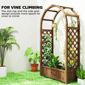 Jardinière surélevée avec treillis en arche, bois brun foncé
