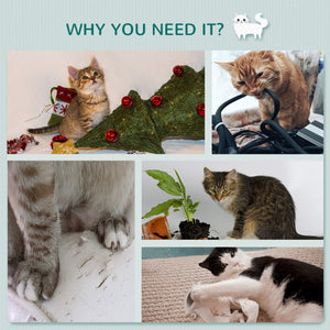 Arbre à chat mural avec 4 plateformes et 3 griffoirs, gris clair