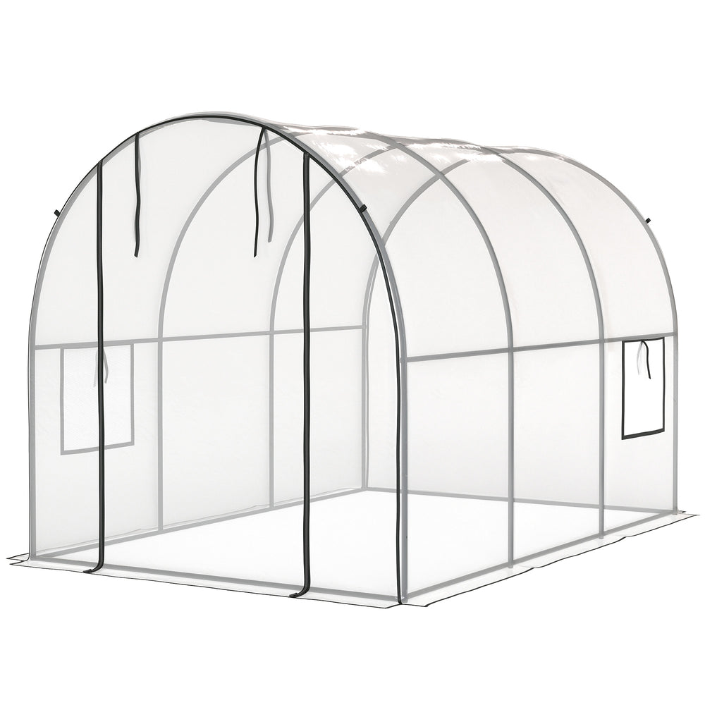 Tunnel greenhouse with roll-up door and mesh window, wind-resistant, transparent