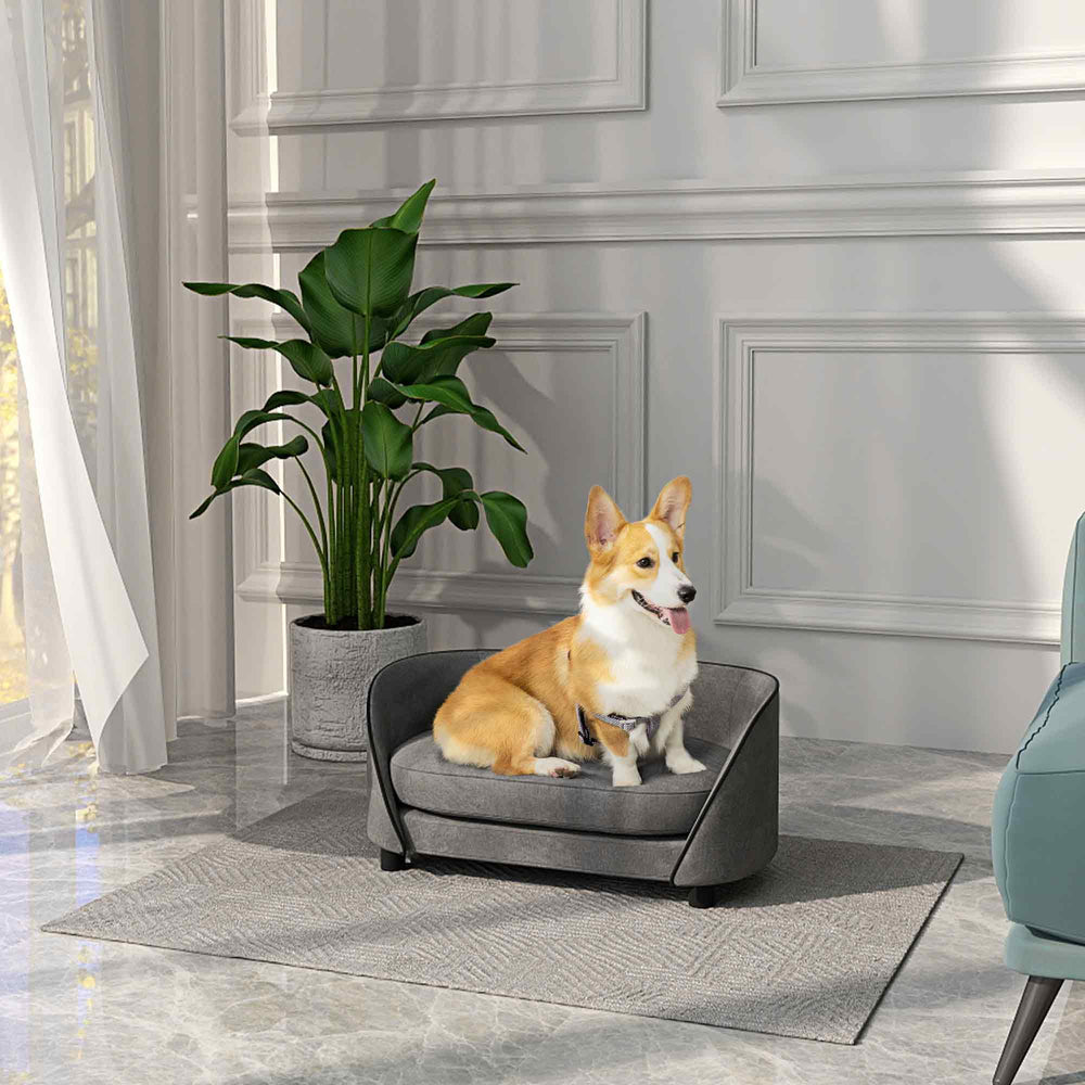 Canapé pour chien avec coussin moelleux, housse amovible et lavable, gris