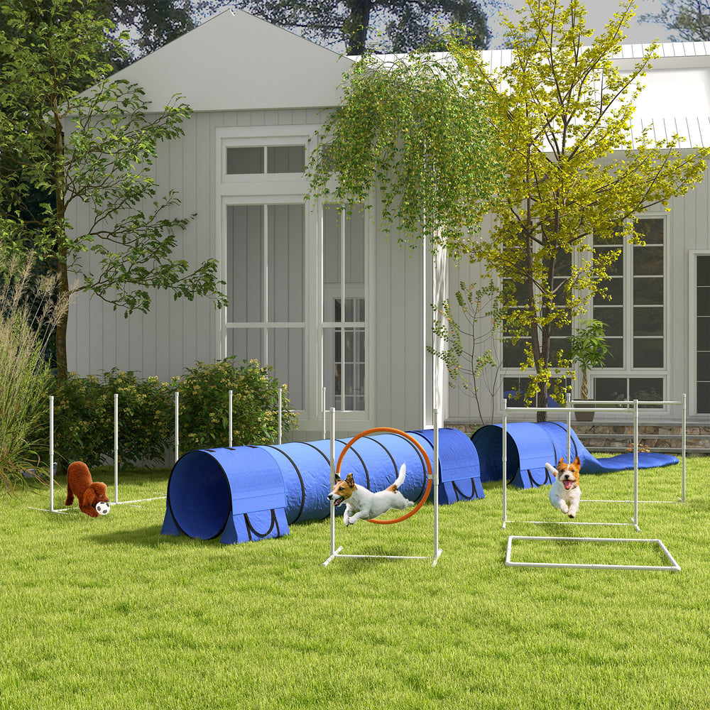Parcours d'agilité pour chien 7 pièces, bleu