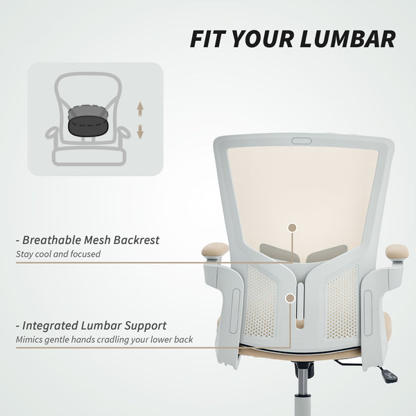 Ergonomic office chair with lumbar support, beige