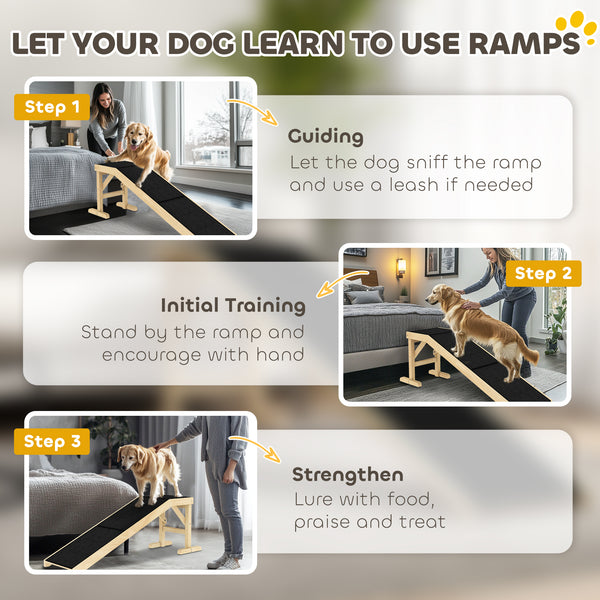 Pet ramp