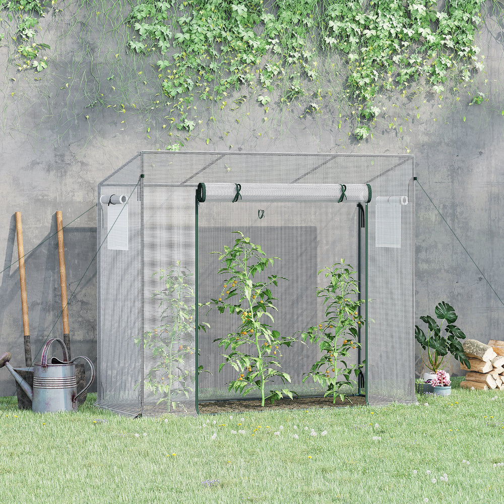 Garden greenhouse with steel frame, door and window