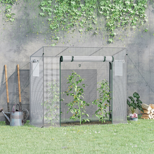 Garden greenhouse with steel frame, door and window