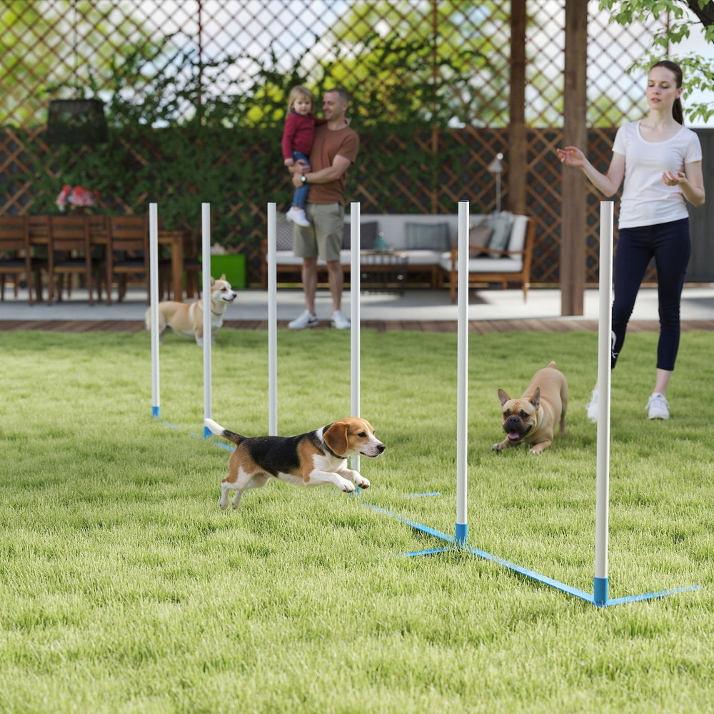 Adjustable Dog Agility Training Obstacle Set with Weaves Poles and Storage Bag for Pet Dogs Outdoor Games Exercise Blue and White