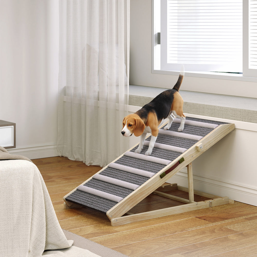 Pet ramp