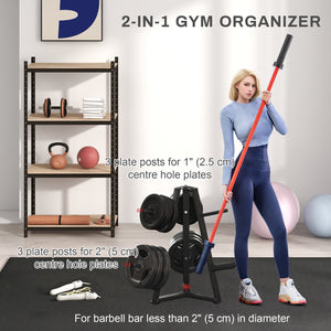 Organisateur de salle de sport avec support pour disques et haltères