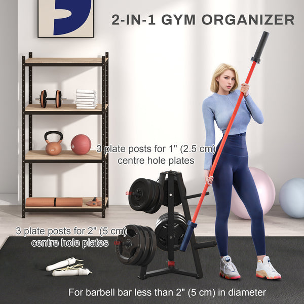 Organisateur de salle de sport avec support pour disques et haltères
