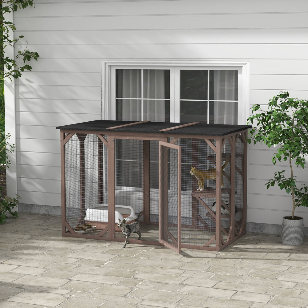 Enclos pour chats avec toit imperméable, plateformes à plusieurs niveaux et verrou