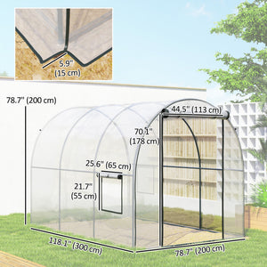 Tunnel greenhouse with roll-up door and mesh window, wind-resistant, transparent
