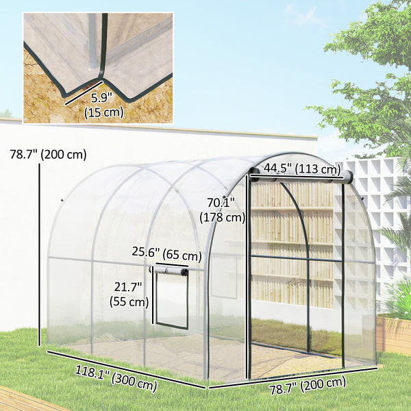 Tunnel greenhouse with roll-up door and mesh window, wind-resistant, transparent