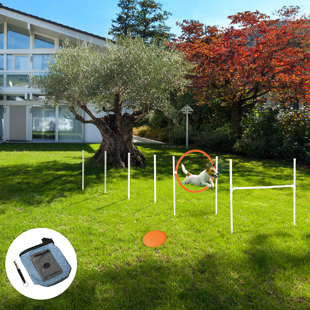 Kit d'entraînement d'agilité canine 5 pièces