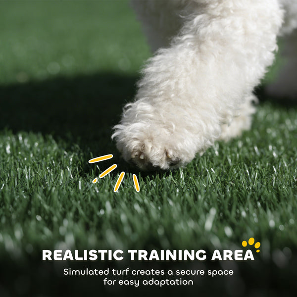 Dog training pads